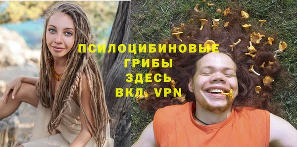 Альфа ПВП Алексин