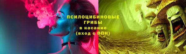 PSILOCYBIN Абаза