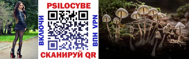 MEGA сайт  Дубна  Псилоцибиновые грибы мухоморы 
